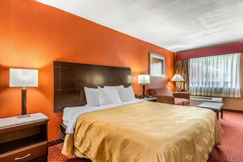 Standard Room, 1 King Bed, Non Smoking