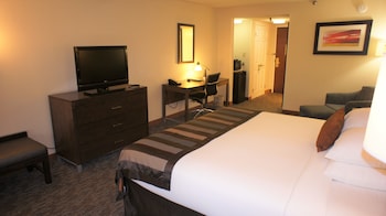 Room, 1 King Bed, Non Smoking