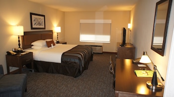 Room, 1 King Bed, Non Smoking