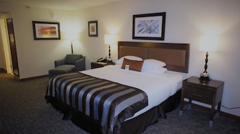 Room, 1 King Bed, Non Smoking
