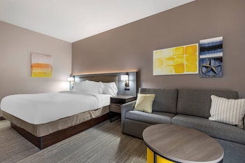 Standard Room, 1 King Bed with Sofa bed, Non Smoking