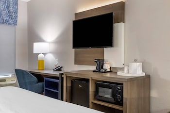 Standard Room, 1 King Bed with Sofa bed, Non Smoking