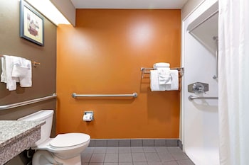 Standard Room, 2 Queen Beds, Accessible, Refrigerator & Microwave