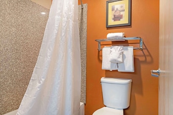 Standard Room, 1 King Bed, Non Smoking, Refrigerator & Microwave