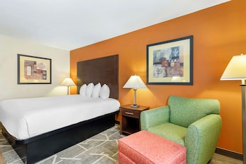 Standard Room, 1 King Bed, Non Smoking, Refrigerator & Microwave