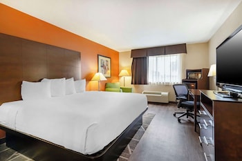 Standard Room, 1 King Bed, Non Smoking, Jetted Tub