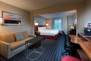 Room, 1 King Bed with Sofa bed