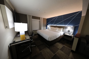 Suite, 1 King Bed with Sofa bed, Non Smoking