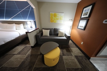 Suite, 1 King Bed with Sofa bed, Non Smoking