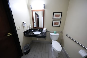 Room, 1 King Bed, Accessible, Non Smoking