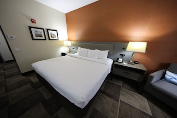 Standard Room, 1 King Bed, Non Smoking