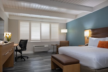 Room, 1 King Bed, Accessible, Non Smoking (Mobility, tub w grab bars)