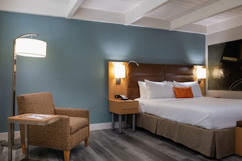 Room, 1 King Bed, Accessible, Non Smoking (Mobility, tub w grab bars)