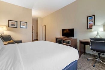 Room, 1 King Bed, Accessible, Non Smoking