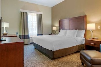 Room, 1 King Bed, Accessible, Non Smoking