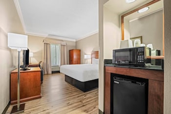 Room, 1 King Bed, Accessible, Non Smoking