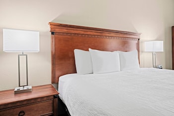 Room, 1 King Bed, Accessible, Non Smoking