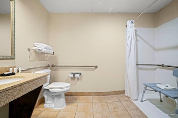 Room, 1 King Bed, Accessible, Non Smoking