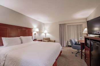 Standard Room, 1 King Bed, Accessible,Walk-in Shower