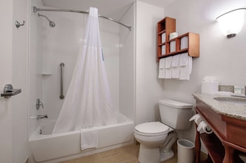 Signature Suite, 1 King Bed with Sofa bed, Accessible
