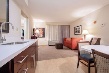 Signature Suite, 1 King Bed with Sofa bed, Accessible