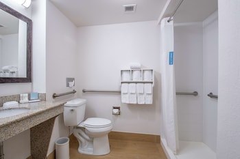 Standard Room, 1 King Bed, Accessible,Walk-in Shower