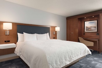 Studio, 1 King Bed, Refrigerator