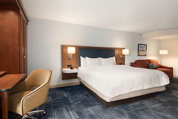 Room, 1 King Bed with Sofa bed, Non Smoking (Shower Only)