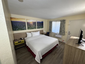 Room, 1 King Bed, Smoking