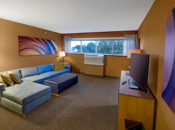 Suite, 1 King Bed