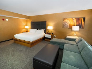 Executive Suite, 1 King Bed