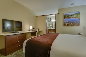 Single Room, 1 King Bed, Accessible