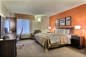 Standard Room, 1 King Bed, Non Smoking