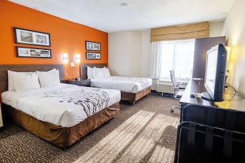 Standard Double Room, 2 Double Beds, Non Smoking