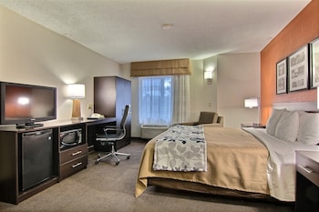 Standard Room, 1 King Bed, Non Smoking