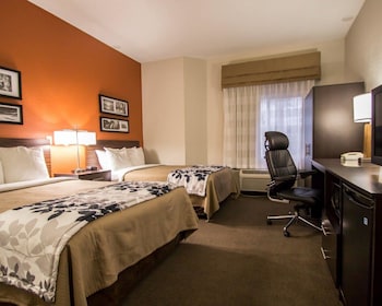 Standard Double Room, 2 Double Beds, Non Smoking