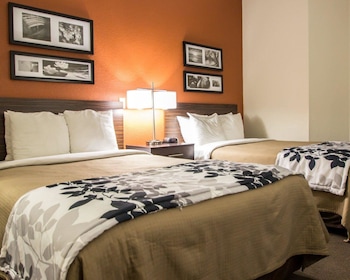Standard Double Room, 2 Double Beds, Non Smoking