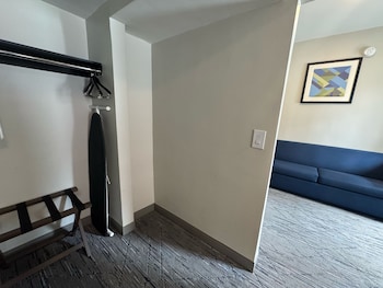Suite, 1 King Bed