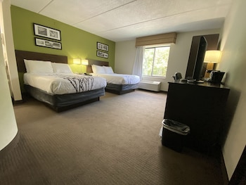 Double Room, 2 Double Beds, Non Smoking