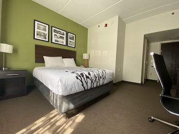 Room, 1 Queen Bed, Accessible, Non Smoking