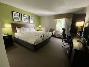 Standard Room, 1 King Bed, Non Smoking