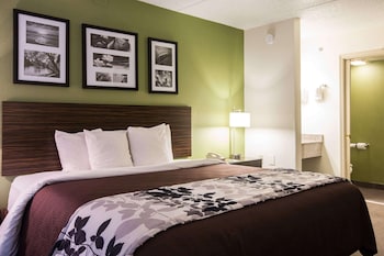 Standard Room, 1 King Bed, Non Smoking