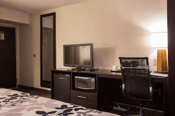 Standard Room, 1 King Bed, Non Smoking