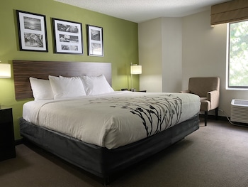 Standard Room, 1 King Bed, Non Smoking