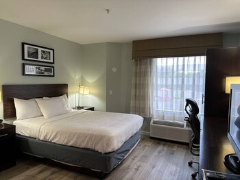 Room, 1 Queen Bed, Non Smoking