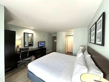 Room, 1 King Bed, Non Smoking