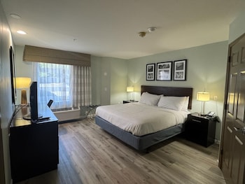 Suite, 1 King Bed, Accessible, Non Smoking (Mobility, Roll-In Shower)