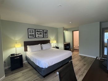 Suite, 1 King Bed, Accessible, Non Smoking (Mobility, Roll-In Shower)