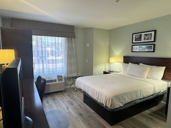 Room, 1 Queen Bed, Accessible, Non Smoking (Mobility, Roll-In Shower)