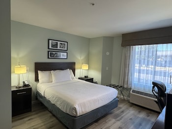 Room, 1 Queen Bed, Accessible, Non Smoking (Mobility, Bathtub w/Grab Bars)
